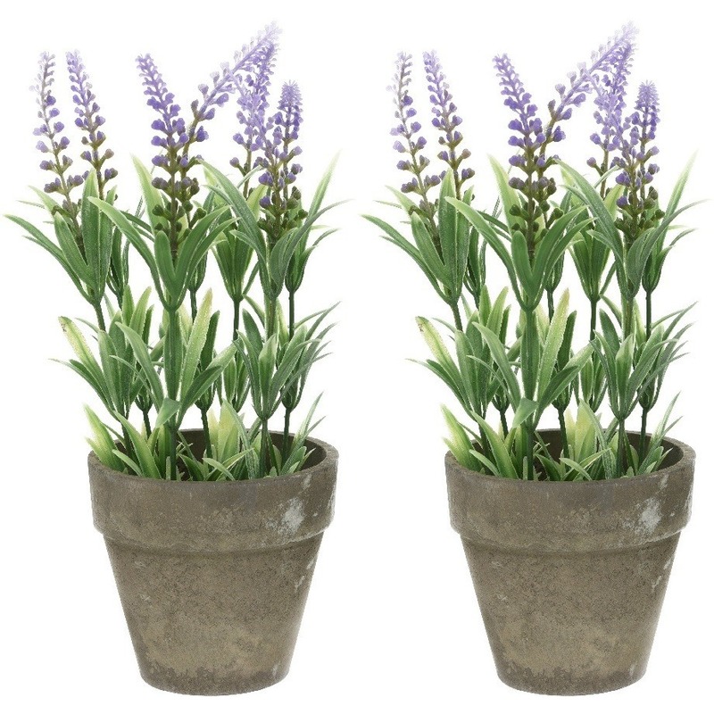 Bellatio flowers & plants Bellatio Lavendel kunstplant - 2x - lila - 25 cm - in betonlook potje - Kunstplanten - nepplanten -
