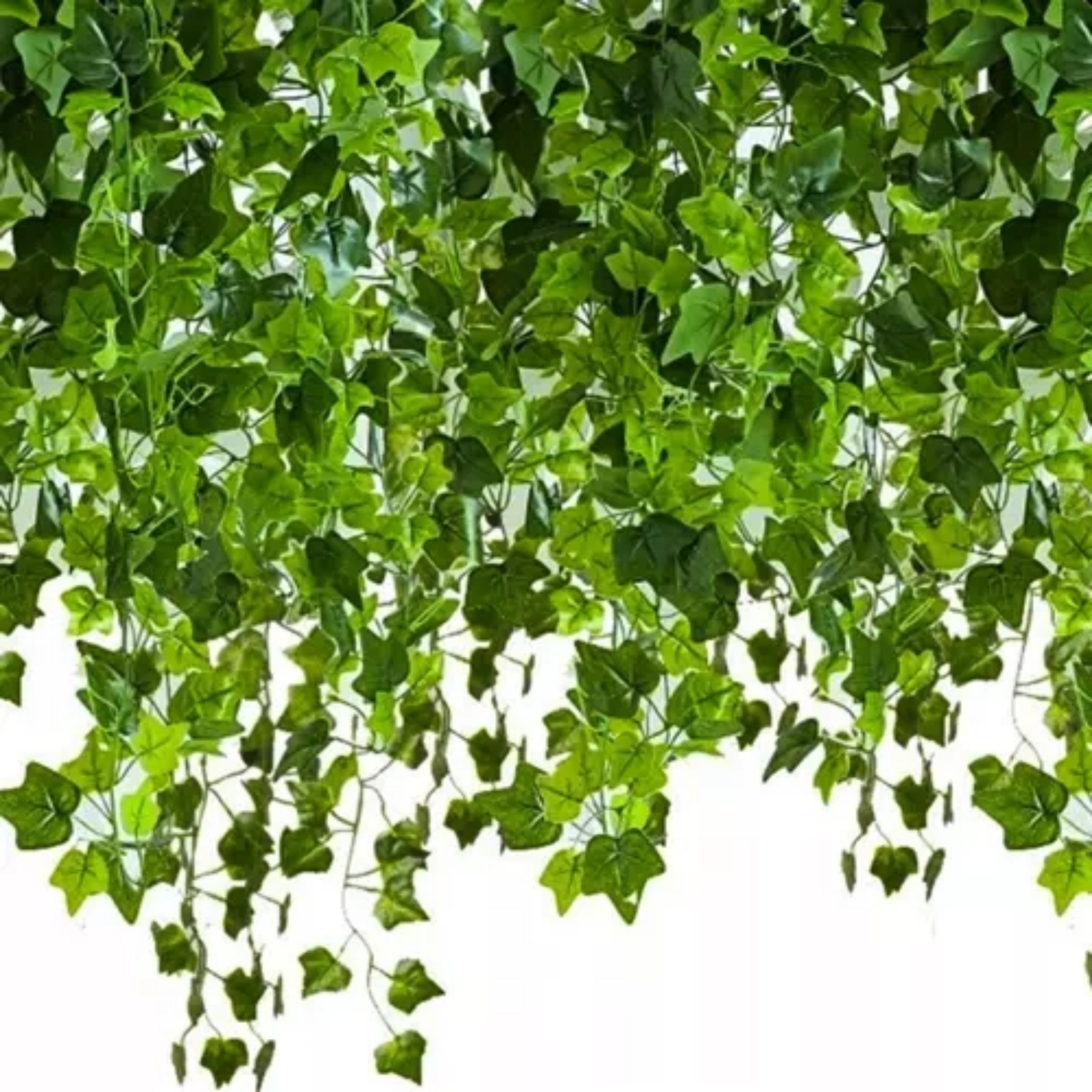 Gardlov Klimop/Hedera kunstplant slinger - 25,5 meter - polyester/kunststof -