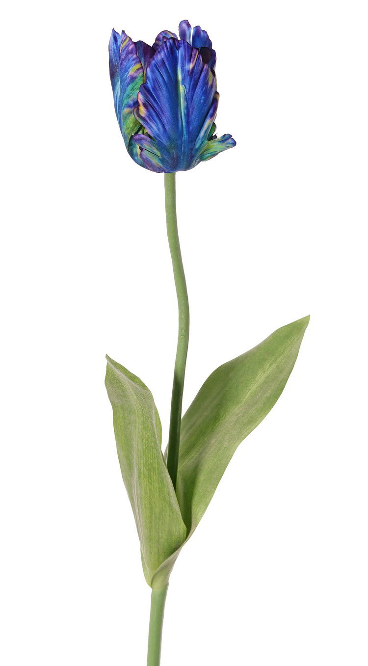 Top art Tulp Tulipa parrot Garden art 1 bloem dia. 6 x 8,5 cm met 2 bladeren feel real 21 x 7,5 cm 64 cm - 