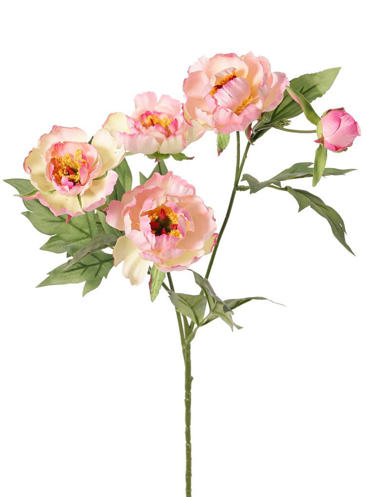 Top art Pioenroostak mini 3x vertakt met 4 bloemen dia. 7 cm 2 L/ 2 M & 1 knop 14 bladeren 60 cm - 