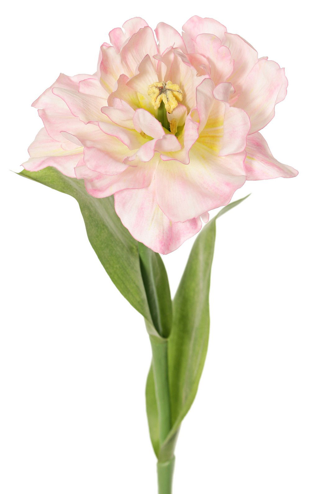 Top art Tulp Tulipa parrot Garden art open 1 bloem dia. 13 cm 2 bladeren 21 x 7,5 cm 64 cm - 