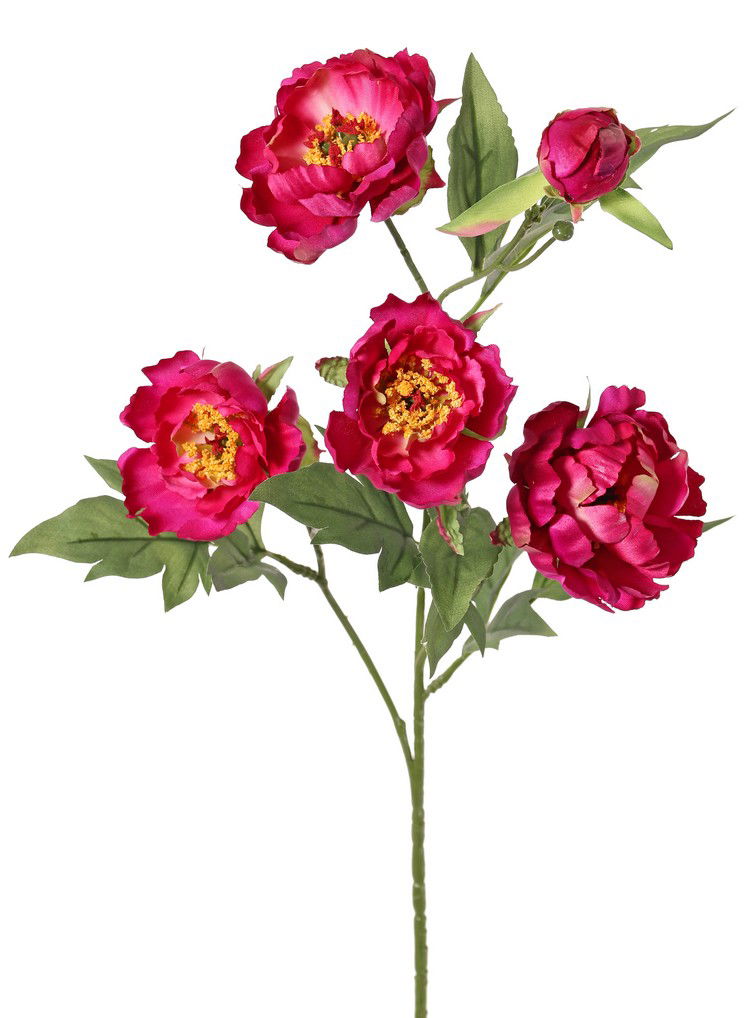 Top art Pioenroostak mini 3x vertakt met 4 bloemen dia. 7 cm 2 L/ 2 M & 1 knop 14 bladeren 60 cm - 