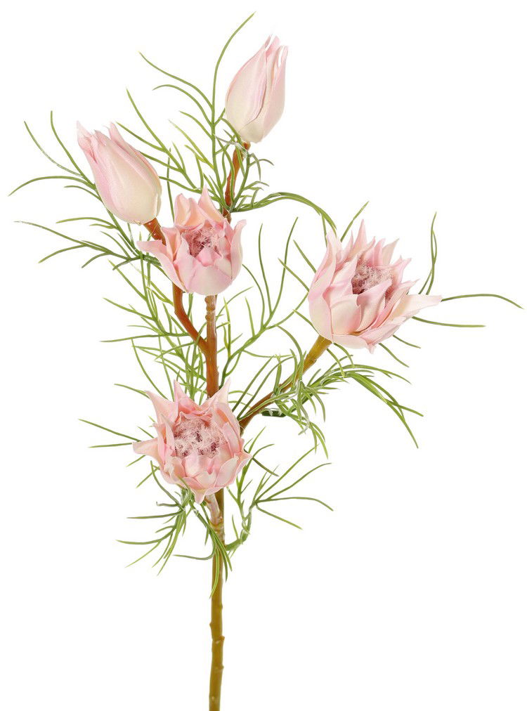 Top art Protea klein Suikerbaard met 3 bloemen & 2 knoppen en 12 plastic bladeren 60 cm - 