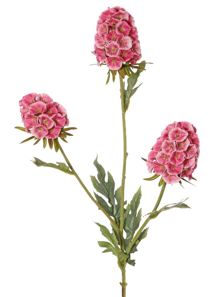 Top art Dianthus Chinese anjer 3x vertakt met 3 bloemen 2x 8x5 cm 1x 6x5 cm & 6 bladeren 77 cm - 