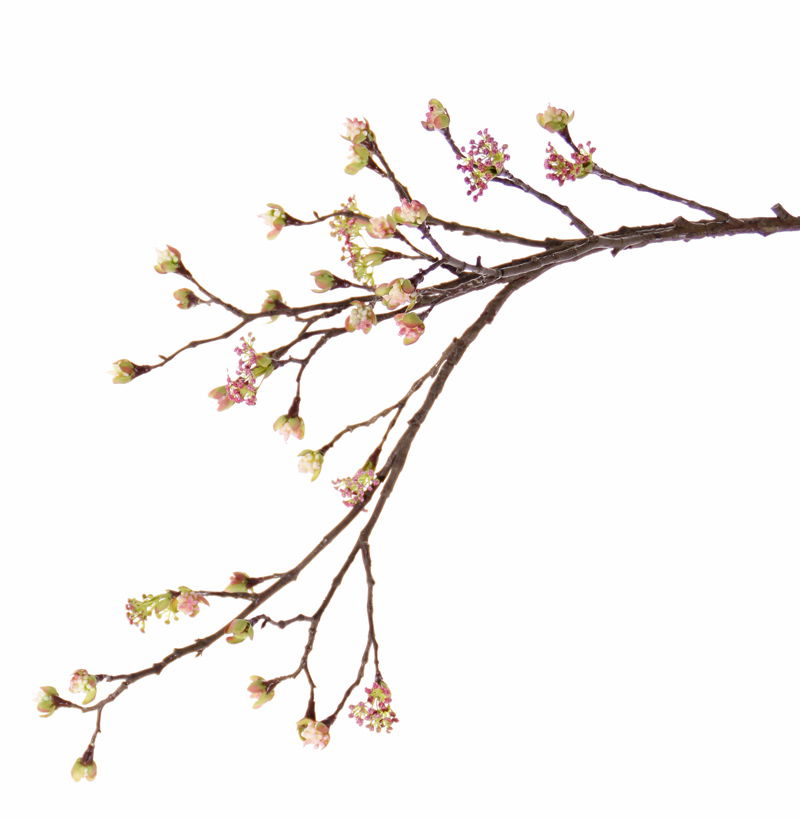 Top art Esdoorn Acer tak met 27 knoppen & 8 bloemen met polyester schutblaadjes 111 cm - 