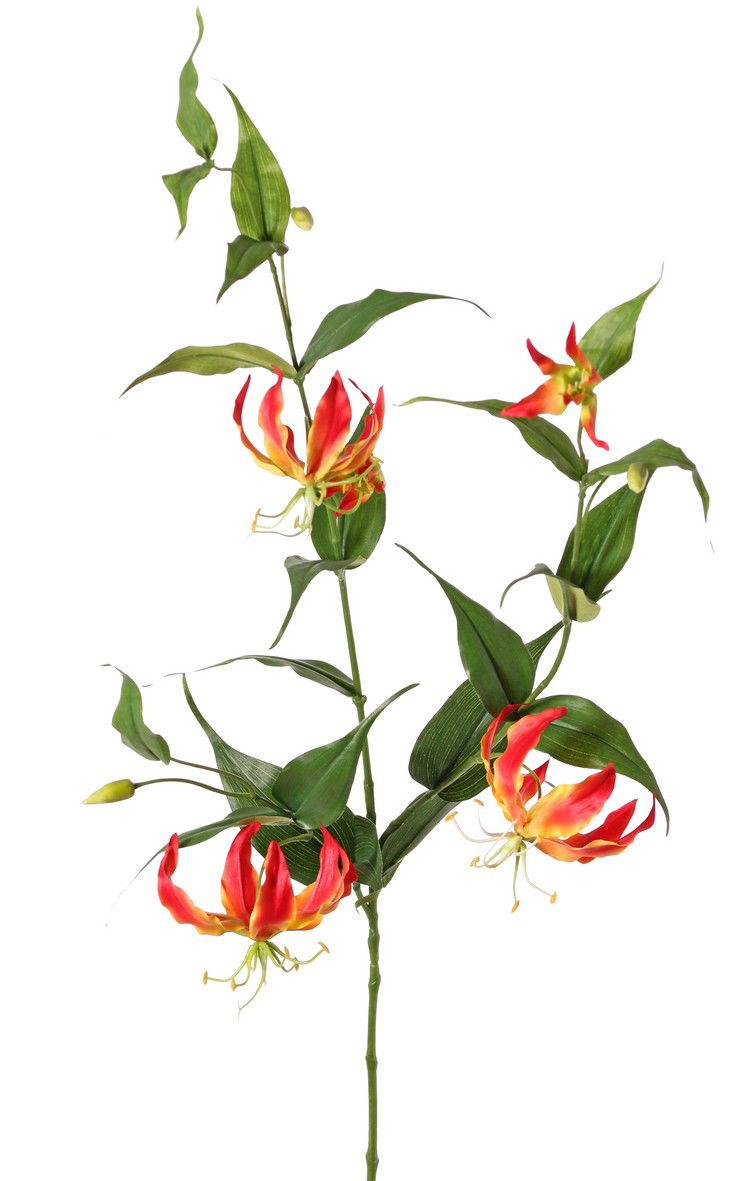 Top art Lelie gloriosa Klimlelie XL 3x vertakt met 5 bloemen 3 knoppen & 23 bladeren 120 cm - 