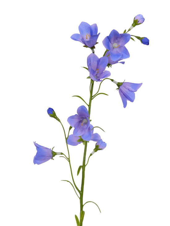 Top art Campanula Klokjesbloem 8 bloemen & 5 knop 16 plastic blaadjes 66 cm - 