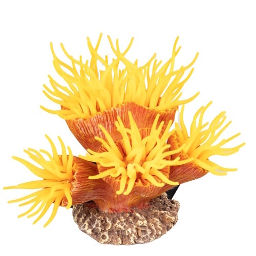 Aqua D'ella Kunstplant Euphyllia