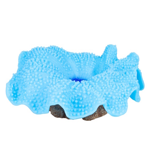 Aqua D'ella Kunstplant Anemoon Tapijt 18x16x5CM Blauw