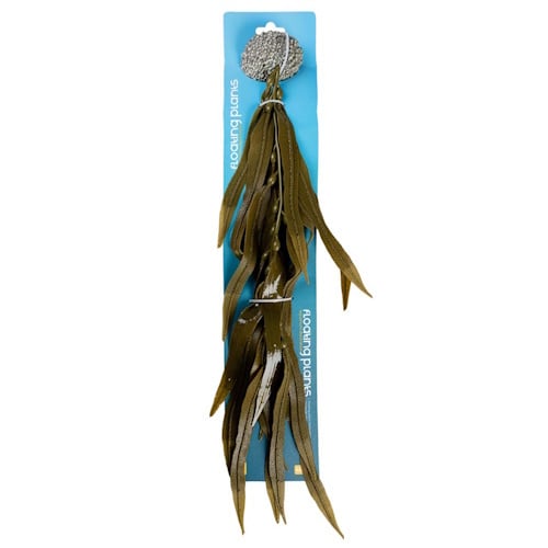 Aqua D'ella Kunstplant Kelp Bruin Medium - 38CM