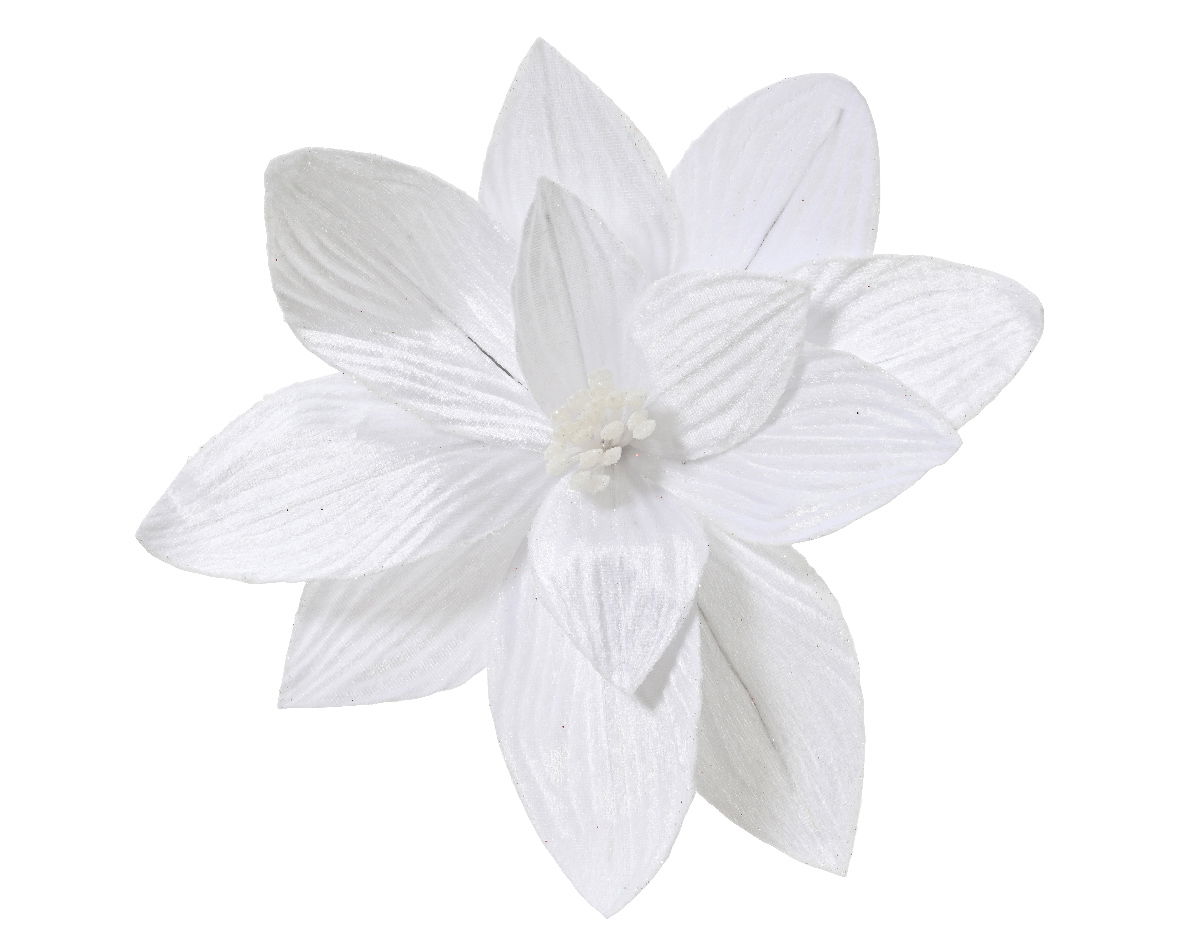 Everlands Poinsettia pesfluweel d30h15 cm wit - 