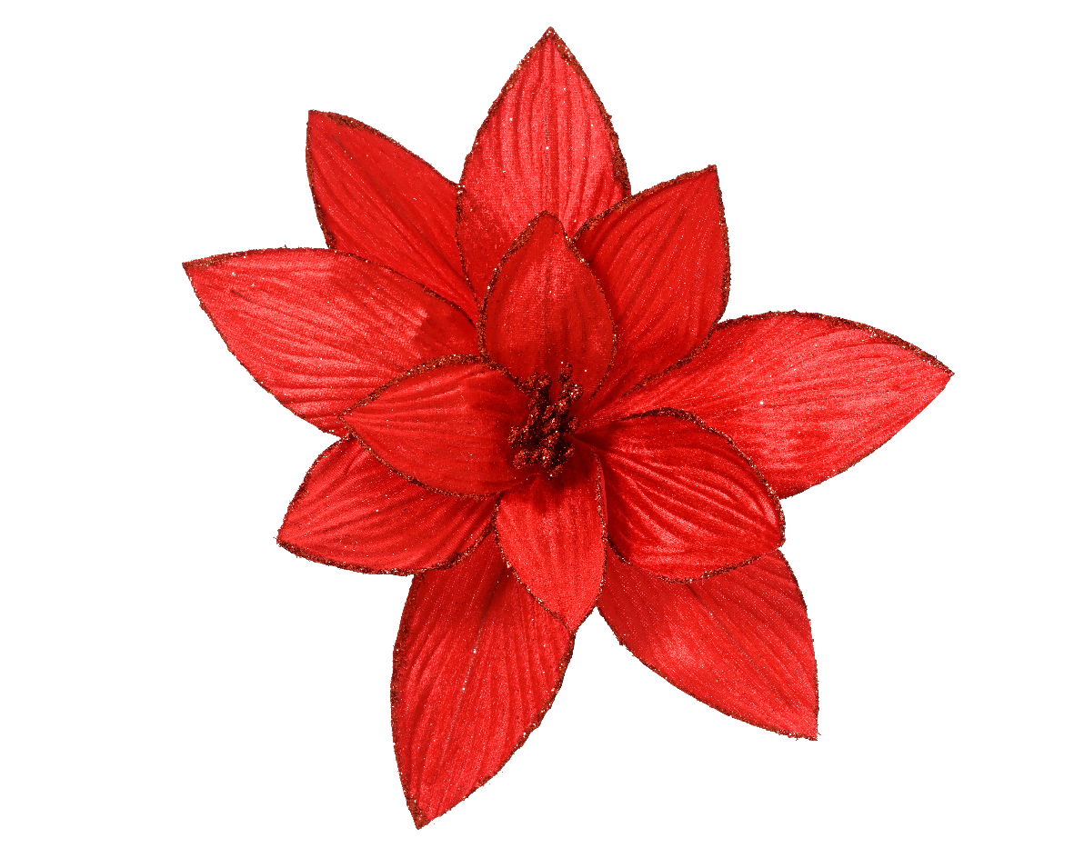 Everlands Poinsettia pesfluweel d30h15 cm rood - 