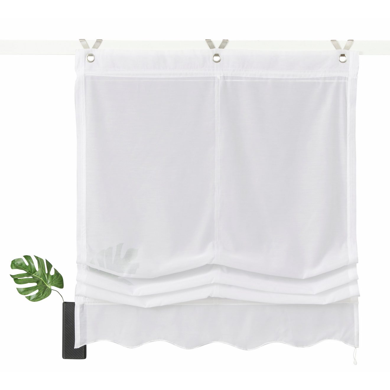 My home Romeins rolgordijn Carpi Transparant, voile, polyester (1 stuk)