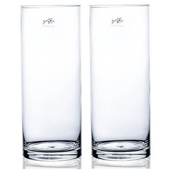 Bellatio flowers & plants 2x Cilinder bloemen vaas helder glas 12 x 30 cm -