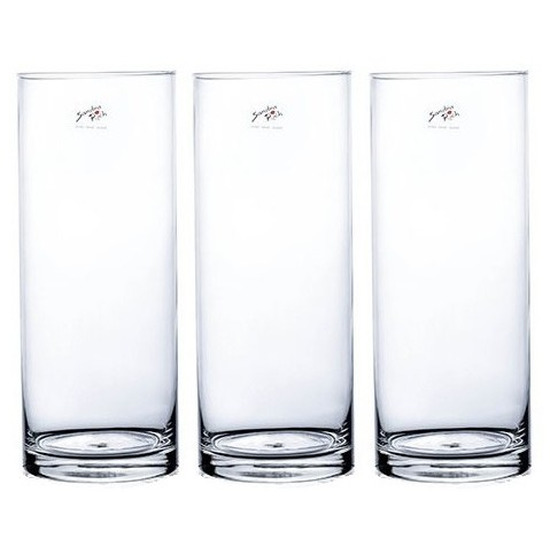 Bellatio flowers & plants 3x Cilinder bloemen vaas helder glas 12 x 30 cm -
