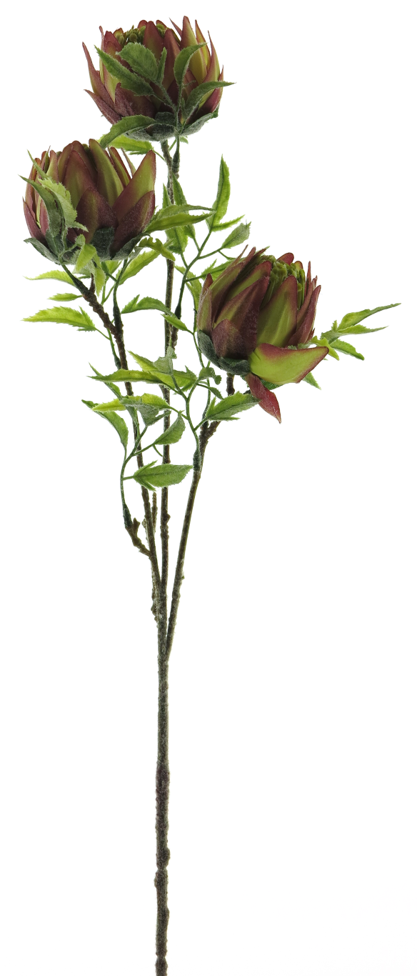 Nova nature Protea spray beauty 73 cm kunstbloem - 