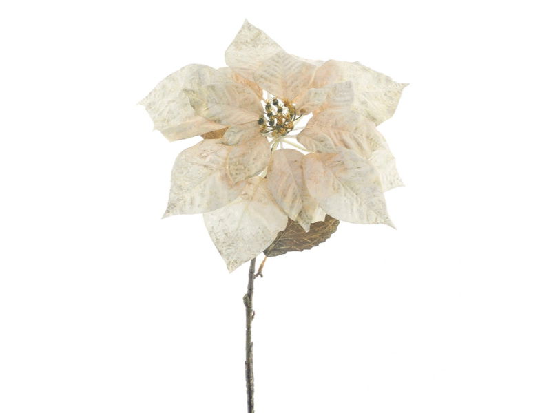 Hortus Kunstbloem poinsettia cream, 74 cm - 