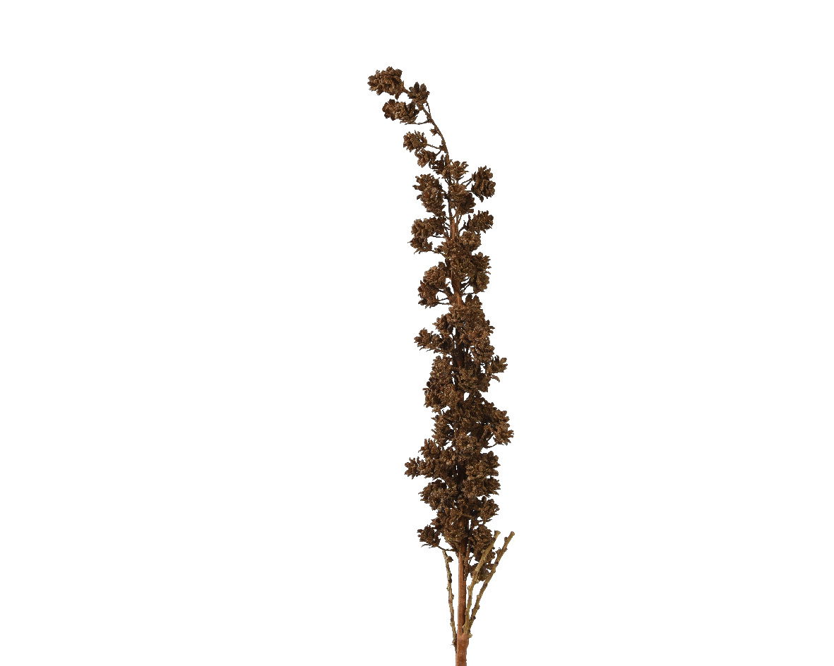Everlands Spray plastic l11.5b6h115 cm bruin - 