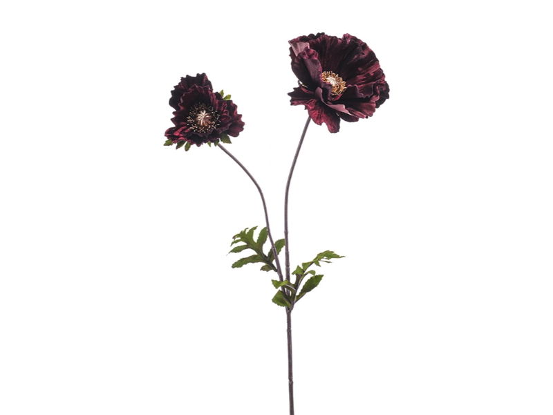 Hortus Kunstbloem poppy velvet burgundy, 78 cm - 