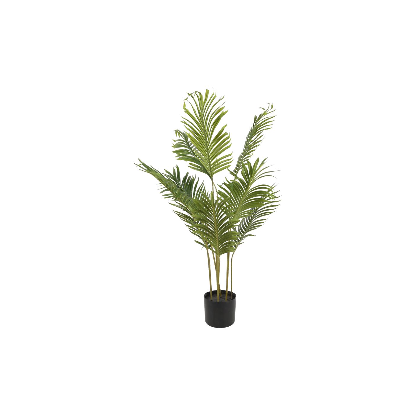 Countryfield Kunstplant Kentia M groen L70B70H100cm