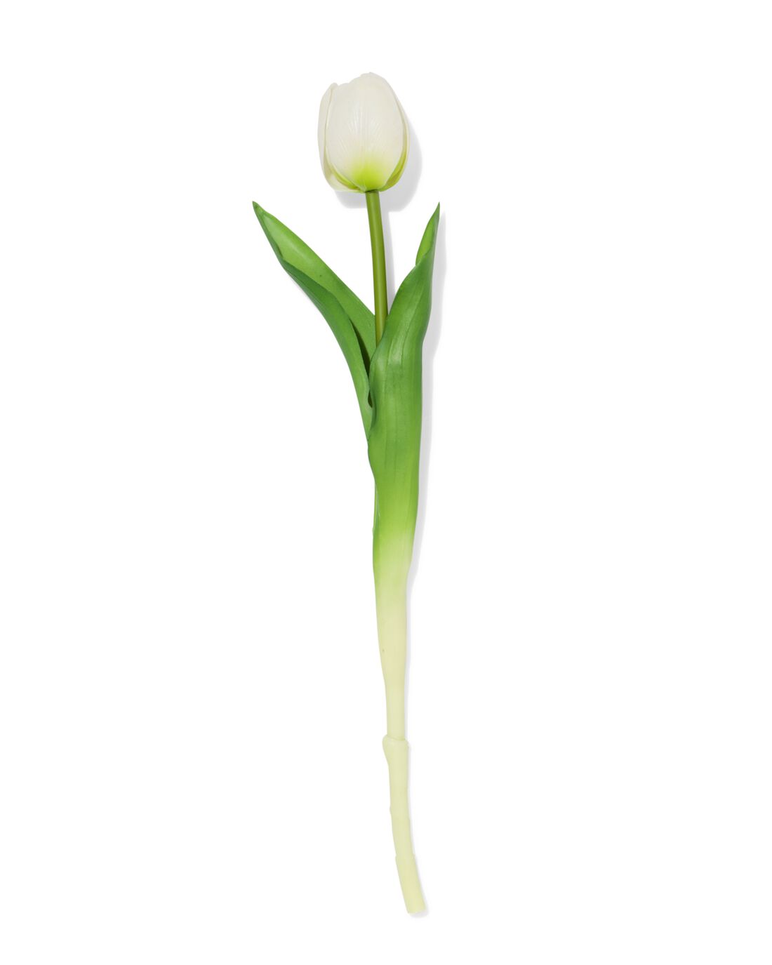 HEMA Kunstbloem 34cm tulp wit