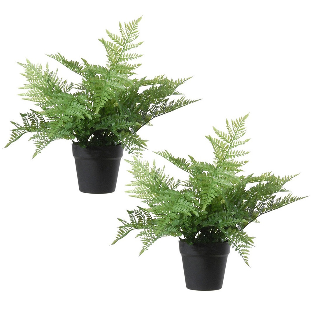 Louis Maes Kunstplant bosvaren Dryopteris Remota - Set van 2x stuks - groen - 43 cm - zwarte kunststof pot -
