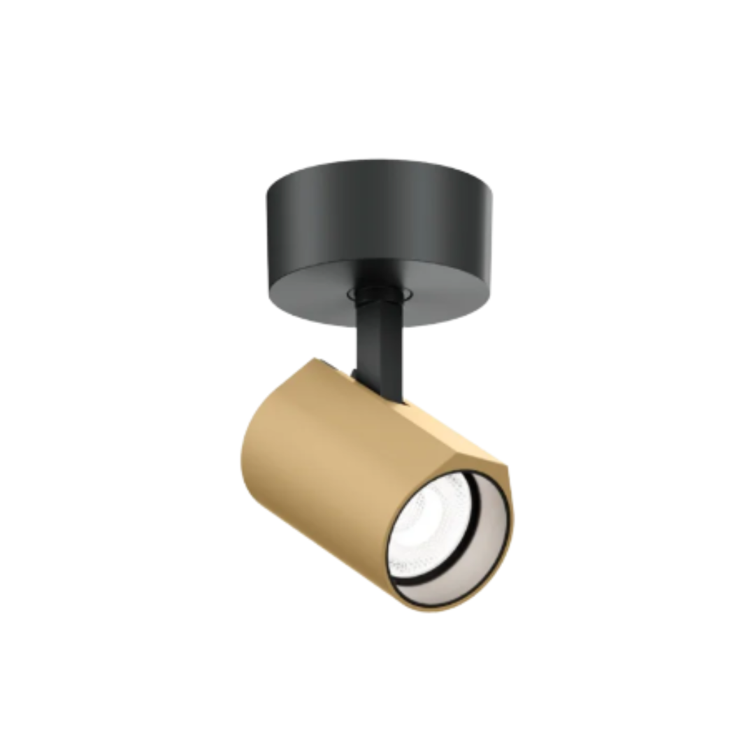 Wever & Ducre  Ceno Surface Flexfy 1.0 Spot