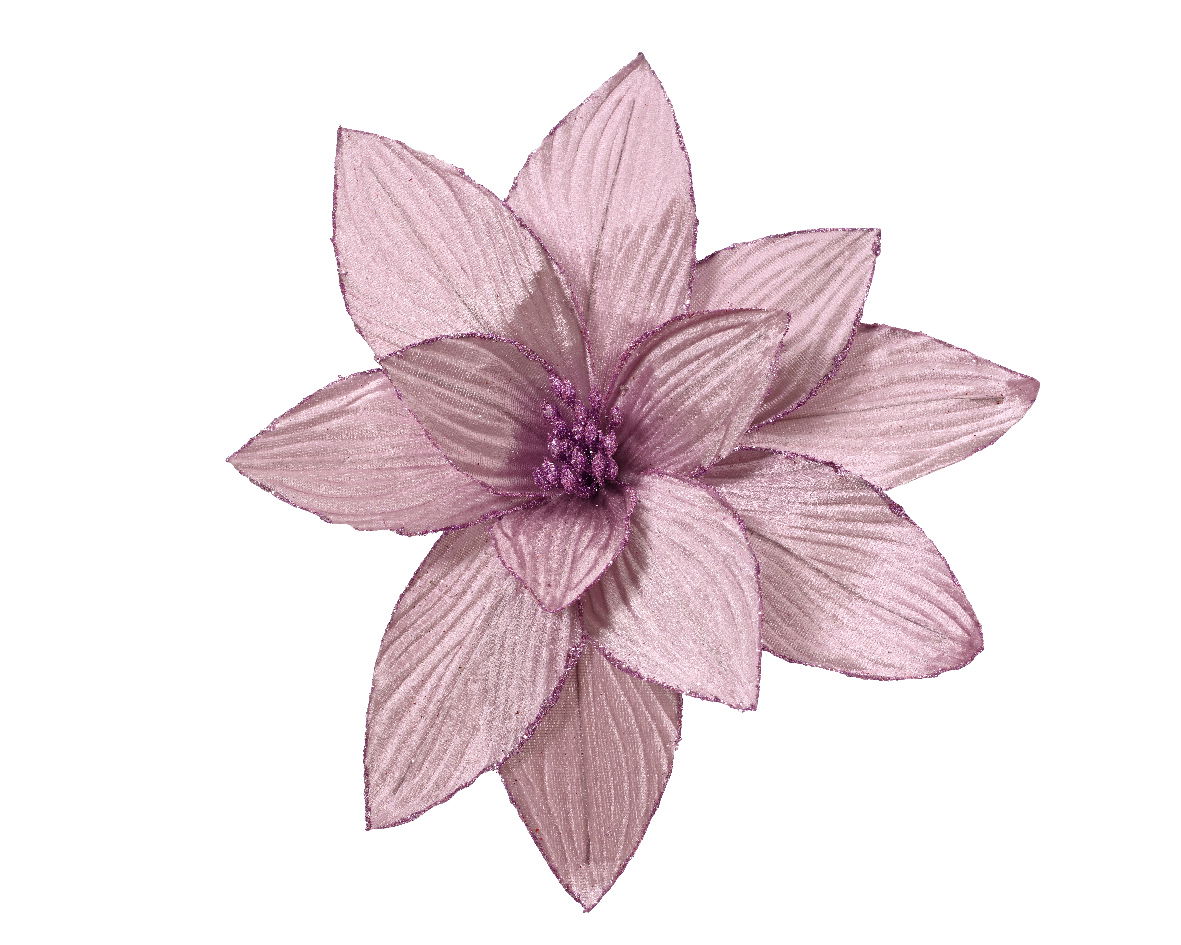 Everlands Poinsettia pesfluweel d30h15 cm lila  - 