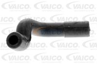Schlauch, Zylinderkopfhaubenentlüftung 'Original VAICO Qualität' | VAICO (V30-1613)
