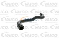 Schlauch, Zylinderkopfhaubenentlüftung 'Original VAICO Qualität' | VAICO (V10-2773)