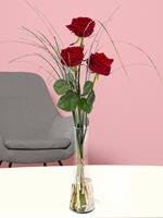 Surprose Drie rode rozen, inclusief vaasje | Rozen online bestellen & versturen | .nl