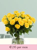 Surprose Gele rozen - Kies je aantal | Rozen online bestellen & versturen | .nl