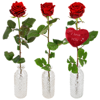 Boeketcadeau 1 of 2 of 3 rode Valentijn rozen in een rozenvaas