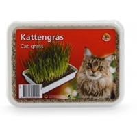 Petproducts kattengras plastic box - Kattensnacks - 130Â gram