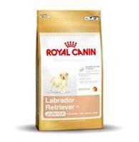 Royalcanin Labrador Retriever Junior - 12 kg