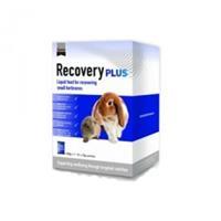 Supreme Petfoods Supreme Science Recovery Plus 10 x 20 g
