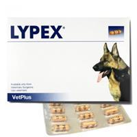 Vetplus Lypex 60 capsules