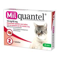 Milquantel Grote Kat (16 mg) - 2 tabletten