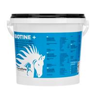 Biotine paard 1000 gram
