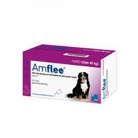 Amflee Spot-on Hond - 402 mg - 3 pipetten
