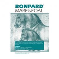 Bonpard Mare & Foal - 20 kg
