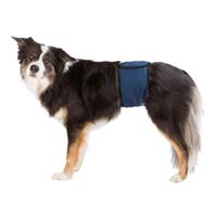 trixie Incontinentie Plasband Voor Reuen - Hondenhulpmiddelen - 37-45 cm Donkerblauw S-M