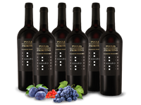 Farnese Vini Vorteilspaket 6 Flaschen Primitivo ESEMPIO