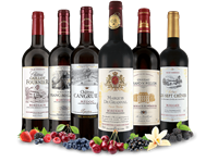 Verschiedene Die hinreißende Welt der Bordeaux-Weine