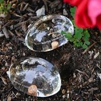 Kikkerland Bewateringsstenen van glas (set van 2)
