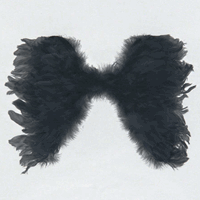 Bellatio Zwarte engelen vleugels cm