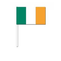 Bellatio Zwaaivlaggetjes Ierland 12 x 24 cm.