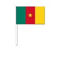 Bellatio Zwaaivlaggetjes Kameroen 12 x 24 cm