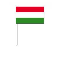 Bellatio Zwaaivlaggetjes Hongarije 12 x 24 cm