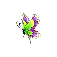 Bellatio Vlinder glitter tattoo groen/paars